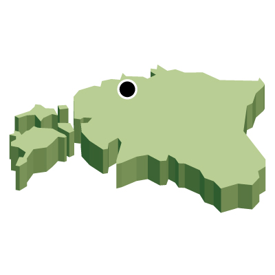 エストニア共和国無料フリーイラスト｜首都・立体(緑)